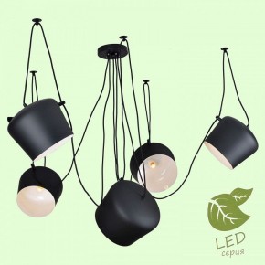 Подвесная люстра Lussole Shirley GRLSP-9919 в Когалыме - kogalym.mebel24.online | фото