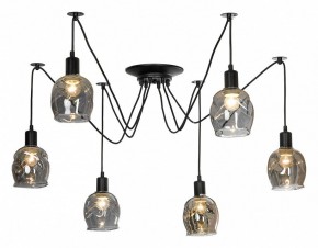 Подвесная люстра Lussole Shirley LSP-8436 в Когалыме - kogalym.mebel24.online | фото 2