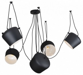 Подвесная люстра Lussole Shirley LSP-9919 в Когалыме - kogalym.mebel24.online | фото