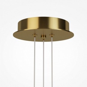 Подвесная люстра Maytoni Arana MOD401PL-L108BS3K в Когалыме - kogalym.mebel24.online | фото 7
