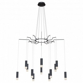 Подвесная люстра Maytoni Davida MOD035PL-12B в Когалыме - kogalym.mebel24.online | фото 2