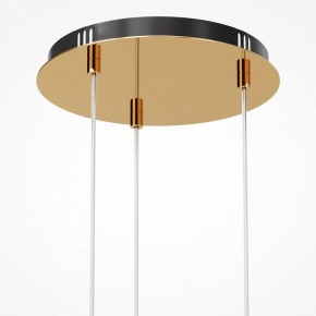 Подвесная люстра Maytoni Drop MOD273PL-L33G3K в Когалыме - kogalym.mebel24.online | фото 6