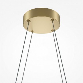 Подвесная люстра Maytoni Halo MOD244PL-L50BSK в Когалыме - kogalym.mebel24.online | фото 4