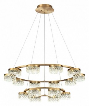 Подвесная люстра Odeon Light Fivre 5032/96L в Когалыме - kogalym.mebel24.online | фото 2