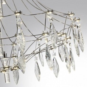 Подвесная люстра Odeon Light Flamenco 6699/51L в Когалыме - kogalym.mebel24.online | фото 5