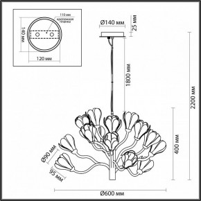 Подвесная люстра Odeon Light Gardi 5090/15 в Когалыме - kogalym.mebel24.online | фото 6