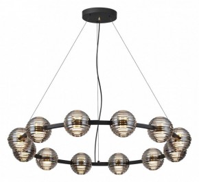 Подвесная люстра Odeon Light Troni 5041/120L в Когалыме - kogalym.mebel24.online | фото 2