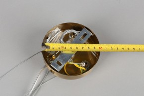 Подвесная люстра Omnilux Ales OML-69103-06 в Когалыме - kogalym.mebel24.online | фото 11