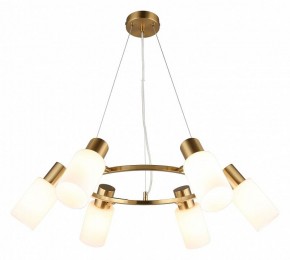 Подвесная люстра Omnilux Ales OML-69103-06 в Когалыме - kogalym.mebel24.online | фото 2