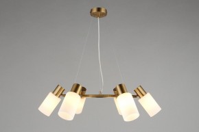 Подвесная люстра Omnilux Ales OML-69103-06 в Когалыме - kogalym.mebel24.online | фото 4