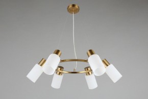 Подвесная люстра Omnilux Ales OML-69103-06 в Когалыме - kogalym.mebel24.online | фото 5