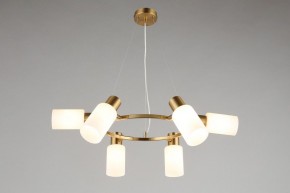 Подвесная люстра Omnilux Ales OML-69103-06 в Когалыме - kogalym.mebel24.online | фото 7