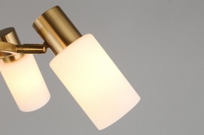 Подвесная люстра Omnilux Ales OML-69103-06 в Когалыме - kogalym.mebel24.online | фото 9