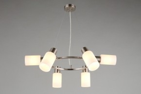 Подвесная люстра Omnilux Ales OML-69113-06 в Когалыме - kogalym.mebel24.online | фото 7