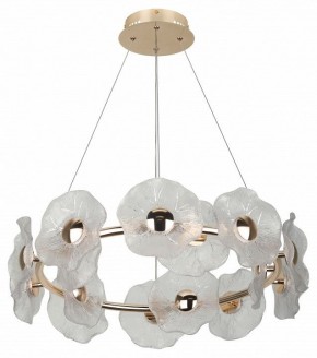 Подвесная люстра Rivoli Shannon Б0061947 в Когалыме - kogalym.mebel24.online | фото 4