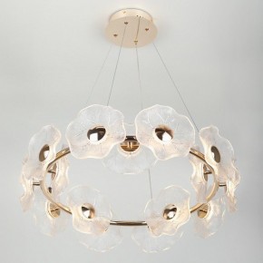 Подвесная люстра Rivoli Shannon Б0061947 в Когалыме - kogalym.mebel24.online | фото 6