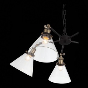 Подвесная люстра ST-Luce Evoluto SL237.413.05 в Когалыме - kogalym.mebel24.online | фото 7