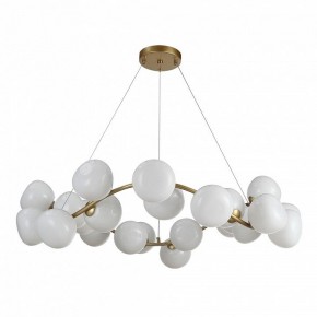 Подвесная люстра ST-Luce Sweven SL1519.303.24 в Когалыме - kogalym.mebel24.online | фото 2