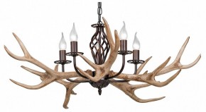 Подвесная люстра Vitaluce  V1491/5 в Когалыме - kogalym.mebel24.online | фото