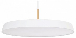 Подвесной светильник Arlight ELEGANT 033924(1) в Когалыме - kogalym.mebel24.online | фото
