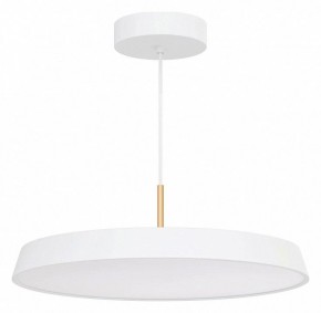 Подвесной светильник Arlight ELEGANT 033924(1) в Когалыме - kogalym.mebel24.online | фото 2