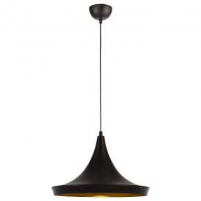 Подвесной светильник Arte Lamp Capello A3406SP-1BK в Когалыме - kogalym.mebel24.online | фото 2