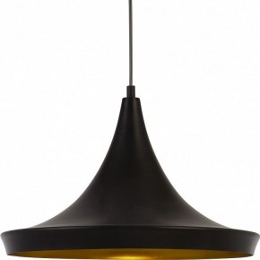 Подвесной светильник Arte Lamp Capello A3406SP-1BK в Когалыме - kogalym.mebel24.online | фото 3