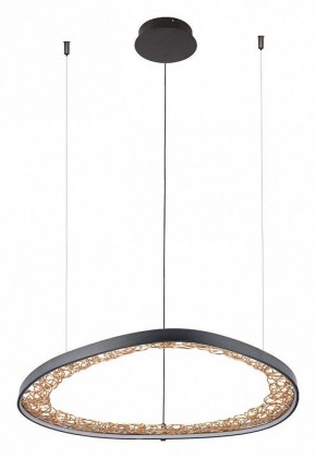 Подвесной светильник Arte Lamp Cinta A1847SP-46BK в Когалыме - kogalym.mebel24.online | фото 2