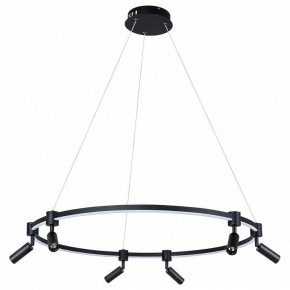 Подвесной светильник Arte Lamp Ring A2186SP-1BK в Когалыме - kogalym.mebel24.online | фото 2