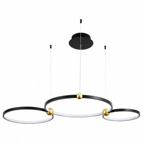 Подвесной светильник Divinare Amadeo 1123/04 SP-75 в Когалыме - kogalym.mebel24.online | фото