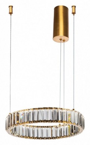 Подвесной светильник Divinare Renata 1135/17 SP-25 в Когалыме - kogalym.mebel24.online | фото 2
