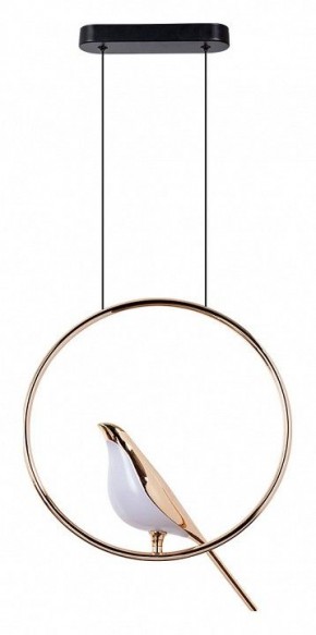 Подвесной светильник Divinare Summer 1188/01 SP-9 в Когалыме - kogalym.mebel24.online | фото 2