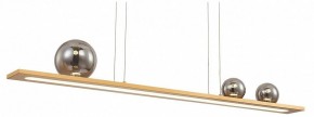 Подвесной светильник Favourite Bilico 4549-3P в Когалыме - kogalym.mebel24.online | фото 2