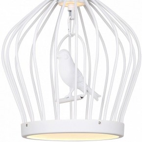 Подвесной светильник Favourite Chick 1931-2P в Когалыме - kogalym.mebel24.online | фото 3