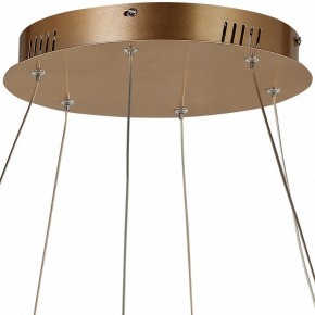 Подвесной светильник Favourite Hexagon 2103-14P в Когалыме - kogalym.mebel24.online | фото 5
