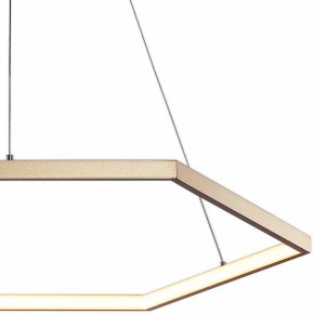 Подвесной светильник Favourite Hexagon 2103-6P в Когалыме - kogalym.mebel24.online | фото 3