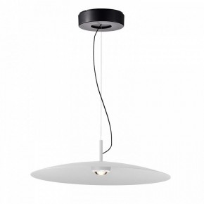 Подвесной светильник Favourite Lars 4410-2P в Когалыме - kogalym.mebel24.online | фото 2