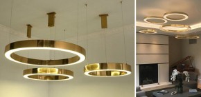 Подвесной светильник Imperiumloft Light Ring Horizontal 40.1454-40 в Когалыме - kogalym.mebel24.online | фото 2