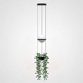 Подвесной светильник Imperiumloft Palma Wall Lamp 22.93727 в Когалыме - kogalym.mebel24.online | фото