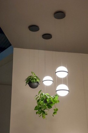 Подвесной светильник Imperiumloft Palma Wall Lamp 22.93727 в Когалыме - kogalym.mebel24.online | фото 6