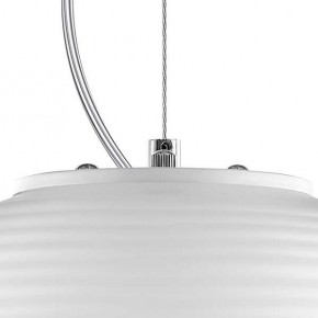 Подвесной светильник Lightstar Arnia 805011 в Когалыме - kogalym.mebel24.online | фото 6