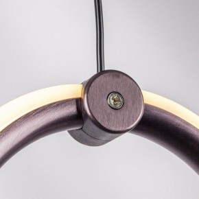 Подвесной светильник Lightstar Caramello 796139 в Когалыме - kogalym.mebel24.online | фото 5