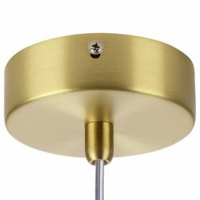 Подвесной светильник Lightstar Colore 805306 в Когалыме - kogalym.mebel24.online | фото 7