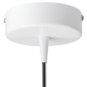 Подвесной светильник Lightstar Conicita 804110 в Когалыме - kogalym.mebel24.online | фото 6