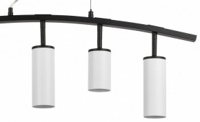 Подвесной светильник Lightstar Rullo LR735362863 в Когалыме - kogalym.mebel24.online | фото 5