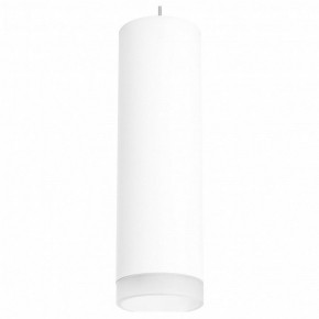 Подвесной светильник Lightstar Rullo RP649680 в Когалыме - kogalym.mebel24.online | фото 2