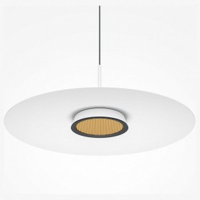 Подвесной светильник Maytoni Halo MOD041PL-L15W3K1 в Когалыме - kogalym.mebel24.online | фото