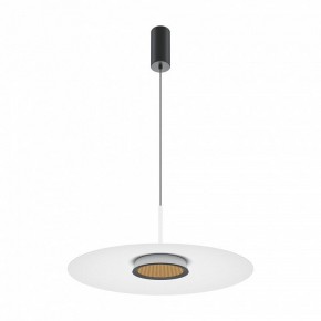 Подвесной светильник Maytoni Halo MOD041PL-L15W3K1 в Когалыме - kogalym.mebel24.online | фото 2