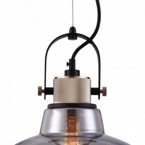 Подвесной светильник Maytoni Irving T163PL-01C в Когалыме - kogalym.mebel24.online | фото 9