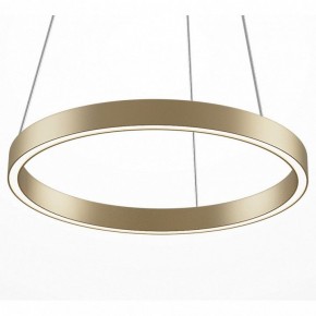 Подвесной светильник Maytoni Rim MOD058PL-L22BSK в Когалыме - kogalym.mebel24.online | фото